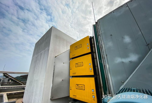 天瀧環(huán)保 創(chuàng)維創(chuàng)新谷80萬(wàn)風(fēng)量 油煙凈化器安裝案例