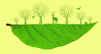 環(huán)保追責 黨政同責的時代擔當