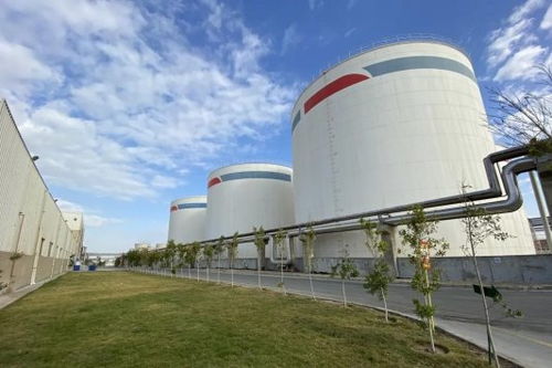 安琪酵母海外工廠 扎根當(dāng)?shù)兀仓G色未來