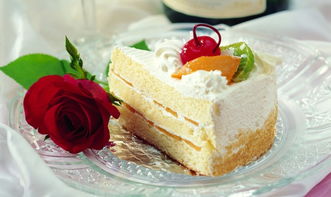 索愛烘焙產(chǎn)品介紹與最新資訊