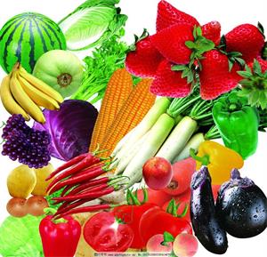 東莞旭新膳食管理 打造冬季養(yǎng)生多元化餐飲新體驗(yàn)